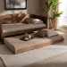 Baxton Studio Veles Modern and Contemporary Ash Walnut Finished Twin Size Trundle Bed - BSOMG0016-24-Ash Walnut-Trundle