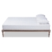 Baxton Studio Iseline Modern and Contemporary Antique Oak Finished Wood Queen Size Platform Bed Frame - BSOMG0001-Antique Oak-Queen