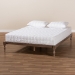 Baxton Studio Iseline Modern and Contemporary Antique Oak Finished Wood Queen Size Platform Bed Frame - BSOMG0001-Antique Oak-Queen