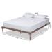 Baxton Studio Iseline Modern and Contemporary Antique Oak Finished Wood Queen Size Platform Bed Frame - BSOMG0001-Antique Oak-Queen