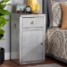 Baxton Studio Serge French Industrial Silver Metal 1-Door Accent Storage Cabinet - BSOJY17B161-Silver-Cabinet