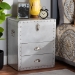 Baxton Studio Serge French Industrial Silver Metal 2-Drawer Accent Storage Cabinet - BSOJY17B165-Silver-Cabinet