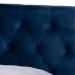 Baxton Studio Caronia Modern and Contemporary Navy Blue Velvet Fabric Upholstered 2-Drawer Queen Size Platform Storage Bed - BSOCaronia-Navy-Queen
