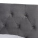 Baxton Studio Caronia Modern and Contemporary Grey Velvet Fabric Upholstered 2-Drawer Queen Size Platform Storage Bed - BSOCaronia-Grey-Queen