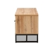 Baxton Studio Reid Modern and Contemporary Industrial Oak Finished Wood and Black Metal 2-Drawer TV Stand - BSOTV8007-Oak/Black-TV