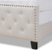 Baxton Studio Marion Modern Transitional Beige Fabric Upholstered Button Tufted Full Size Panel Bed - BSOMarion-Beige-Full