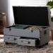 Baxton Studio Flynn Modern Transitional Grey Fabric Upholstered 2-Drawer Storage Trunk Ottoman - BSOJY19A416-Grey-Otto