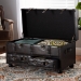 Baxton Studio Callum Modern Transitional Distressed Dark Brown Faux Leather Upholstered 2-Drawer Storage Trunk Ottoman - BSOJY19A418-Brown-Otto