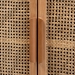 Baxton Studio Alina Mid-Century Modern Medium Oak Finished Wood and Rattan 2-Door Accent Storage Cabinet - BSOJY1904-Medium Oak-Cabinet