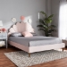Baxton Studio Odille Modern Glam Light Pink Velvet Upholstered Walnut Brown Finished Wood Queen Size Seashell Shaped Platform Bed - BSOBBT6897-Light Pink Velvet/Walnut-Queen