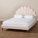 Baxton Studio Odille Modern Glam Light Pink Velvet Upholstered Walnut Brown Finished Wood Queen Size Seashell Shaped Platform Bed - BSOBBT6897-Light Pink Velvet/Walnut-Queen
