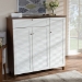 Baxton Studio Coolidge Modern and Contemporary Walnut Finished 11-Shelf Wood Shoe Storage Cabinet with Drawer - BSOFP-05LV-Walnut/White