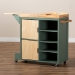 Baxton Studio Dorthy Coastal and Farmhouse Two-tone Dark Green and Natural Wood Kitchen Storage Cart - BSORT670-OCC-Natural/Dark Green-Cart