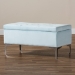 Baxton Studio Mabel Modern and Contemporary Transitional Light Blue Velvet Fabric Upholstered Silver Finished Storage Ottoman - BSOWS-20093-Light Blue Velvet/Silver-Otto
