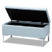 Baxton Studio Mabel Modern and Contemporary Transitional Light Blue Velvet Fabric Upholstered Silver Finished Storage Ottoman - BSOWS-20093-Light Blue Velvet/Silver-Otto