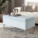 Baxton Studio Mabel Modern and Contemporary Transitional Light Blue Velvet Fabric Upholstered Silver Finished Storage Ottoman - BSOWS-20093-Light Blue Velvet/Silver-Otto