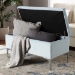 Baxton Studio Mabel Modern and Contemporary Transitional Light Blue Velvet Fabric Upholstered Silver Finished Storage Ottoman - BSOWS-20093-Light Blue Velvet/Silver-Otto