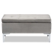 Baxton Studio Mabel Modern and Contemporary Transitional Grey Velvet Fabric Upholstered Silver Finished Storage Ottoman - BSOWS-20093-Grey Velvet/Silver-Otto