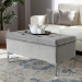 Baxton Studio Mabel Modern and Contemporary Transitional Grey Velvet Fabric Upholstered Silver Finished Storage Ottoman - BSOWS-20093-Grey Velvet/Silver-Otto