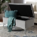 Baxton Studio Mabel Modern and Contemporary Transitional Grey Velvet Fabric Upholstered Silver Finished Storage Ottoman - BSOWS-20093-Grey Velvet/Silver-Otto