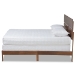 Baxton Studio Anthony Modern and Contemporary Walnut Brown Finished Wood Queen Size Panel Bed - BSOMG0024-Walnut-Queen