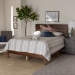 Baxton Studio Anthony Modern and Contemporary Walnut Brown Finished Wood Queen Size Panel Bed - BSOMG0024-Walnut-Queen