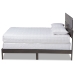 Baxton Studio Anthony Modern and Contemporary Dark Grey Oak Finished Wood Queen Size Panel Bed - BSOMG0024-Green Gray-Queen