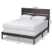Baxton Studio Anthony Modern and Contemporary Dark Grey Oak Finished Wood Queen Size Panel Bed - BSOMG0024-Green Gray-Queen
