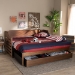 Baxton Studio Jameson Modern and Transitional Walnut Brown Finished Expandable Twin Size to King Size Daybed with Storage Drawer - BSOMG0033-1-Walnut-Daybed
