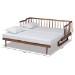 Baxton Studio Muriel Modern and Transitional Walnut Brown Finished Wood Expandable Twin Size to King Size Spindle Daybed - BSOMG0037-Walnut-Daybed
