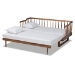 Baxton Studio Muriel Modern and Transitional Walnut Brown Finished Wood Expandable Twin Size to King Size Spindle Daybed - BSOMG0037-Walnut-Daybed