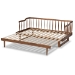 Baxton Studio Muriel Modern and Transitional Walnut Brown Finished Wood Expandable Twin Size to King Size Spindle Daybed - BSOMG0037-Walnut-Daybed