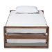 Baxton Studio Klara Modern and Contemporary Walnut Finished Wood Expandable Twin Size to King Size Bed Frame - BSOMG0026-Walnut-Twin