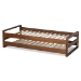 Baxton Studio Klara Modern and Contemporary Walnut Finished Wood Expandable Twin Size to King Size Bed Frame - BSOMG0026-Walnut-Twin