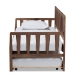 Baxton Studio Midori Modern and Contemporary Transitional Walnut Brown Finished Wood Twin Size Daybed with Roll-Out Trundle Bed - BSOMG0046-1-Walnut-Daybed with Trundle