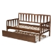 Baxton Studio Midori Modern and Contemporary Transitional Walnut Brown Finished Wood Twin Size Daybed with Roll-Out Trundle Bed - BSOMG0046-1-Walnut-Daybed with Trundle