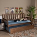 Baxton Studio Midori Modern and Contemporary Transitional Walnut Brown Finished Wood Twin Size Daybed with Roll-Out Trundle Bed - BSOMG0046-1-Walnut-Daybed with Trundle
