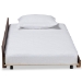 Baxton Studio Midori Modern and Contemporary Transitional Walnut Brown Finished Wood Twin Size Trundle Bed - BSOMG0046-1-Walnut-Trundle