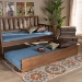 Baxton Studio Midori Modern and Contemporary Transitional Walnut Brown Finished Wood Twin Size Trundle Bed - BSOMG0046-1-Walnut-Trundle