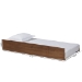 Baxton Studio Midori Modern and Contemporary Transitional Walnut Brown Finished Wood Twin Size Trundle Bed - BSOMG0046-1-Walnut-Trundle
