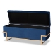 Baxton Studio Parker Glam and Luxe Navy Blue Velvet Upholstered and Gold Metal Finished Storage Ottoman - BSOJY20A122L-Navy Blue/Gold-Storage Otto