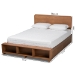 Baxton Studio Vita Modern Transitional Ash Walnut Brown Finished Wood 4-Drawer Full Size Platform Storage Bed - BSOVita-Ash Walnut-Full