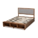 Baxton Studio Cosma Modern Transitional Ash Walnut Brown Finished Wood 4-Drawer Queen Size Platform Storage Bed - BSOCosma-Light Grey/Ash Walnut-Queen