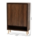 Baxton Studio Landen Mid-Century Modern Walnut Brown and Gold Finished Wood 2-Door Entryway Shoe storage Cabinet - BSOLV10SC10151WI-Columbia/Gold-Shoe Cabinet