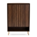 Baxton Studio Landen Mid-Century Modern Walnut Brown and Gold Finished Wood 2-Door Entryway Shoe storage Cabinet - BSOLV10SC10151WI-Columbia/Gold-Shoe Cabinet