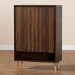 Baxton Studio Landen Mid-Century Modern Walnut Brown and Gold Finished Wood 2-Door Entryway Shoe storage Cabinet - BSOLV10SC10151WI-Columbia/Gold-Shoe Cabinet