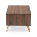 Baxton Studio Edel Mid-Century Modern Walnut Brown and Gold Finished Wood Coffee Table - BSOLV12CFT12140WI-Columbia/Gold-CT