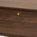 Baxton Studio Edel Mid-Century Modern Walnut Brown and Gold Finished Wood Coffee Table - BSOLV12CFT12140WI-Columbia/Gold-CT