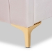 Baxton Studio Nami Modern Contemporary Glam and Luxe Light Pink Velvet Fabric Upholstered and Gold Finished Full Size Platform Bed - BSOCF0374-Light Pink-Full