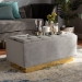 Baxton Studio Powell Glam and Luxe Grey Velvet Fabric Upholstered and Gold PU Leather Storage Ottoman - BSOWS-2019-Grey Velvet/Gold-Otto